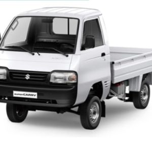 Suzuki Carry
